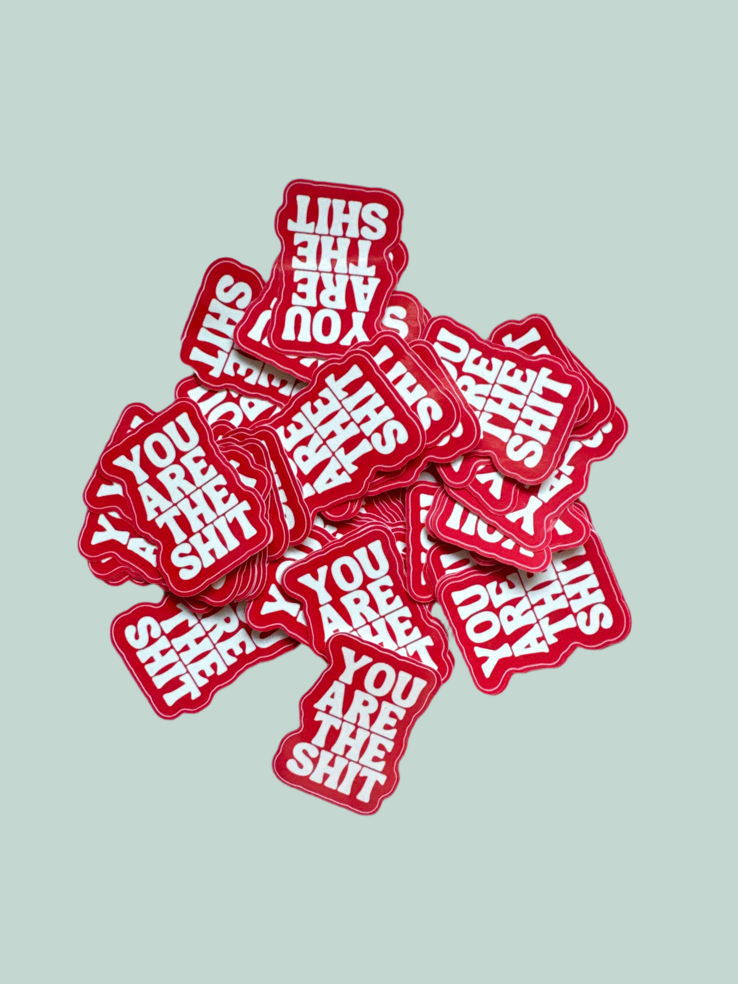You are the Shit - STICKER