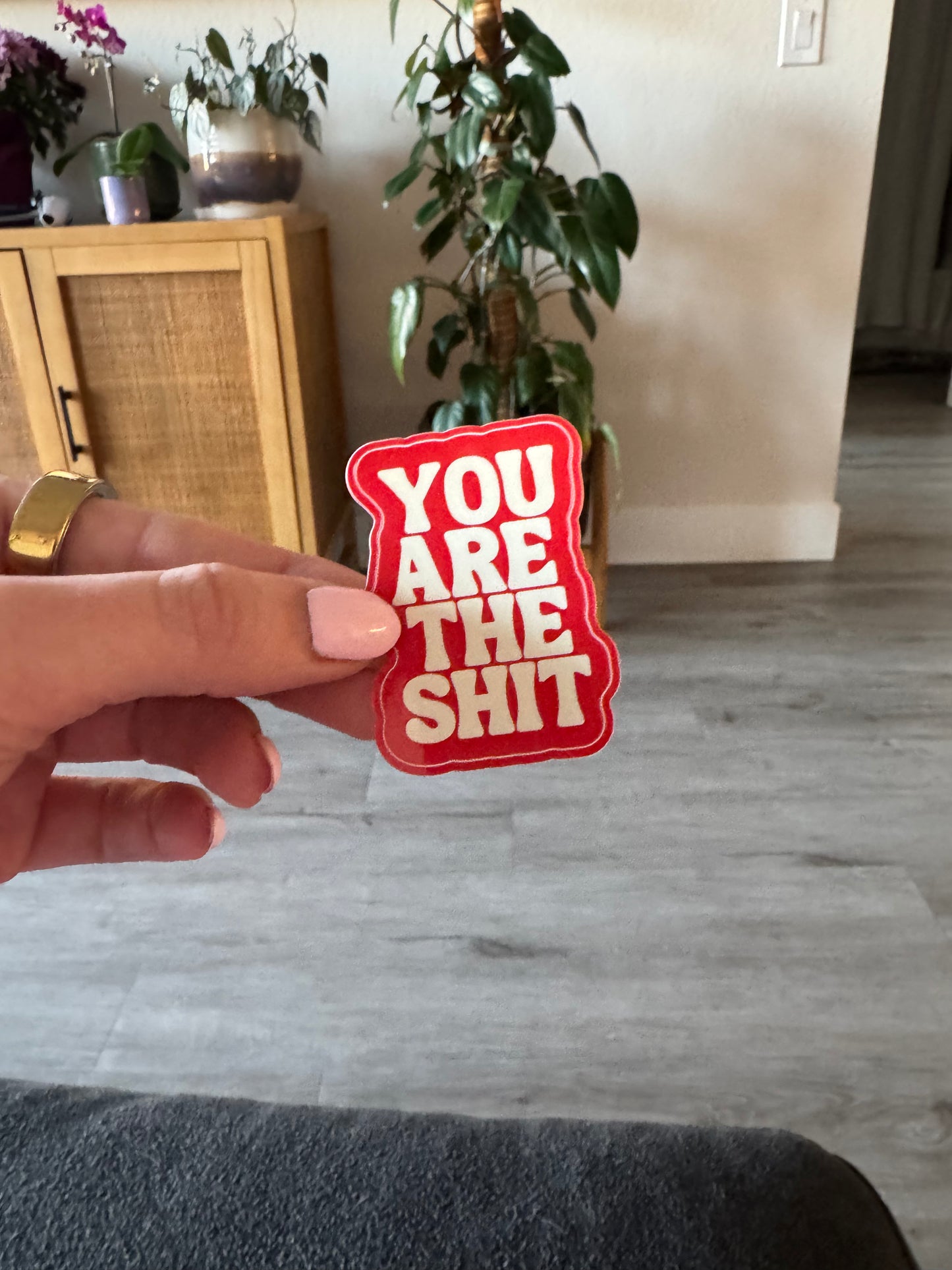 You are the Shit - STICKER